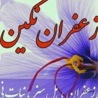 زعفران نگین