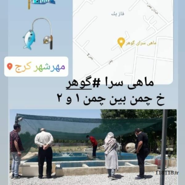ماهی سرا گوهر 