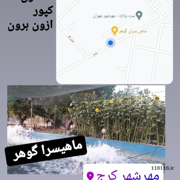 ماهی سرا گوهر 