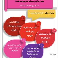 طرح ساتین اسپار (بیمه زندگی و سرمایه گذاری)