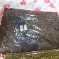 محصولات خانگی وباقالی
